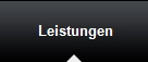 Leistungen
